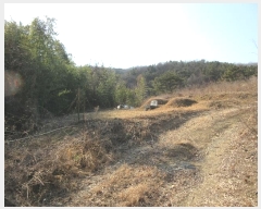  2022Ÿ��10113 �泲 â�籺 �帶�� �尡�� 913      ����(��1)���