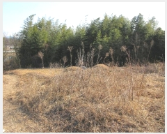  2022Ÿ��10113 �泲 â�籺 �帶�� �尡�� 913      ����(��1)���