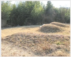  2022Ÿ��10113 �泲 â�籺 �帶�� �尡�� 913      ����(��1)���