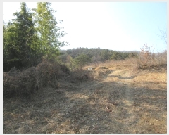  2022Ÿ��10113 �泲 â�籺 �帶�� �尡�� 913      ����(��1)���