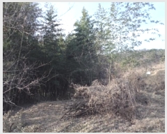  2022Ÿ��10113 �泲 â�籺 �帶�� �尡�� 913      ����(��1)���