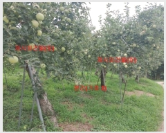  2022Ÿ��720  �Ӿ߰��