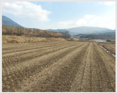  2022Ÿ��12020 �泲 ��â�� ������ �Ϻθ� 791      ����(��1)���