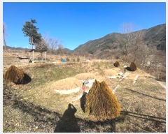  2022Ÿ105791 泲 Ƿɱ ʸ ¸ 188      (1)