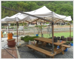  2022Ÿ1073 泲 Ƿɱ Ƿ ϸ 703-4      ܵ,ð