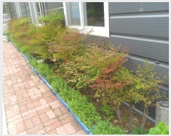  2022Ÿ1073 泲 Ƿɱ Ƿ ϸ 703-4      ܵ,ð