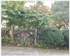  2022Ÿ��3277  ���(ķ����)���