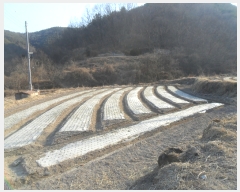  2022Ÿ100567 泲 Ƿɱ ĥ 곲 126      (1)