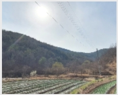  2022Ÿ100567 泲 Ƿɱ ĥ 곲 126      (1)