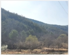  2022Ÿ100567 泲 Ƿɱ ĥ 곲 126      (1)