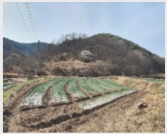  2022Ÿ100567 泲 Ƿɱ ĥ 곲 126      (1)