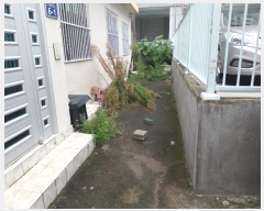  2022Ÿ��2687  �������