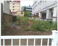  2022Ÿ��2687  �������