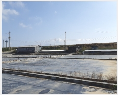  2022Ÿ��2535 ���� ������ ����� ���Ǹ� 642-9      ����(������)���