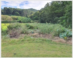  2022Ÿ��72572 ���� �强�� �Ｍ�� ���� 220      ����(��1)���