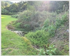  2022Ÿ��72572 ���� �强�� �Ｍ�� ���� 220      ����(��1)���