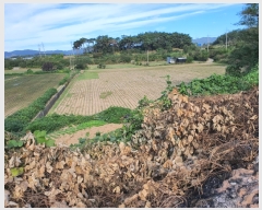  2022Ÿ��72572 ���� �强�� �Ｍ�� ���� 220      ����(��1)���