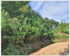  2022Ÿ��72572 ���� �强�� �Ｍ�� ���� 220      ����(��1)���