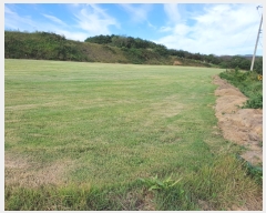  2022Ÿ��72572 ���� �强�� �Ｍ�� ���� 220      ����(��1)���