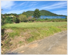  2022Ÿ��72572 ���� �强�� �Ｍ�� ���� 220      ����(��1)���