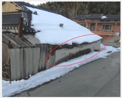  2022Ÿ��77751 ���� �强�� ���̸� ���� 238      ����(����)���