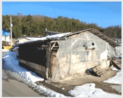  2022Ÿ��77751 ���� �强�� ���̸� ���� 238      ����(����)���