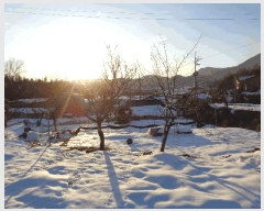  2022Ÿ��77751 ���� �强�� ���̸� ���� 238      ����(����)���