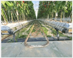  2022Ÿ7189  ȭ   969-3      ,â