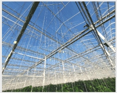  2022Ÿ7189  ȭ   969-3      ,â