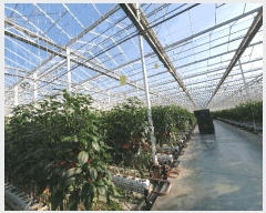  2022Ÿ7189  ȭ   969-3      ,â