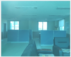  2022Ÿ��1235 ���� ������ �븶�� ���׸� 1029-10      ������