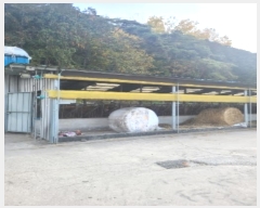  2022Ÿ7141  强 强  1008-5      (󰡽ü)