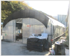  2022Ÿ7141  强 强  1008-5      (󰡽ü)