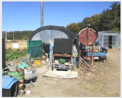  2022Ÿ7141  强 强  1008-5      (󰡽ü)