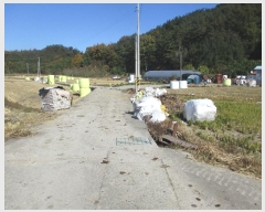  2022Ÿ7141  强 强  1008-5      (󰡽ü)