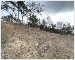  2022Ÿ��50520 ���� ���ȱ� ��� ���� 1005-33      ���(ķ����)���