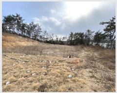  2022Ÿ��50520 ���� ���ȱ� ��� ���� 1005-33      ���(ķ����)���