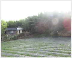  2022Ÿ��53567 ���� ���ϱ� ������ ������ 1-5      ����(����)���