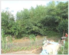  2022Ÿ��53567 ���� ���ϱ� ������ ������ 1-5      ����(����)���