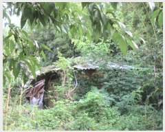  2022Ÿ��53567 ���� ���ϱ� ������ ������ 1-5      ����(����)���