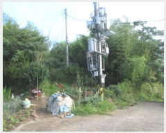  2022Ÿ��53567 ���� ���ϱ� ������ ������ 1-5      ����(����)���