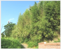  2022Ÿ��53567 ���� ���ϱ� ������ ������ 1-5      ����(����)���