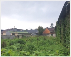  2022Ÿ��2701 ���� ������ ������ �ֺ��� 239-7      ����(����)���