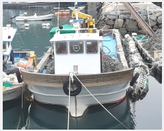  2022Ÿ��3933 (����) ������ ��������        ���ڰ��