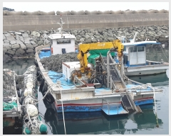  2022Ÿ��3933 (����) ������ ��������        ���ڰ��