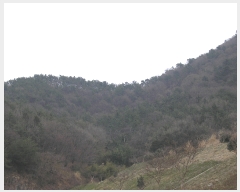  2022Ÿ��1265 ���� ������ ���ﵿ ��272-50       ����(�Ӿ�)���