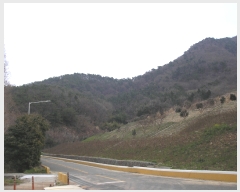  2022Ÿ��1265 ���� ������ ���ﵿ ��272-50       ����(�Ӿ�)���