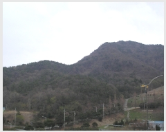  2022Ÿ��1265 ���� ������ ���ﵿ ��272-50       ����(�Ӿ�)���