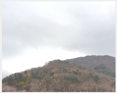  2022Ÿ��1265 ���� ������ ���ﵿ ��272-50       ����(�Ӿ�)���