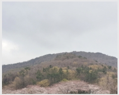  2022Ÿ��1265 ���� ������ ���ﵿ ��272-50       ����(�Ӿ�)���